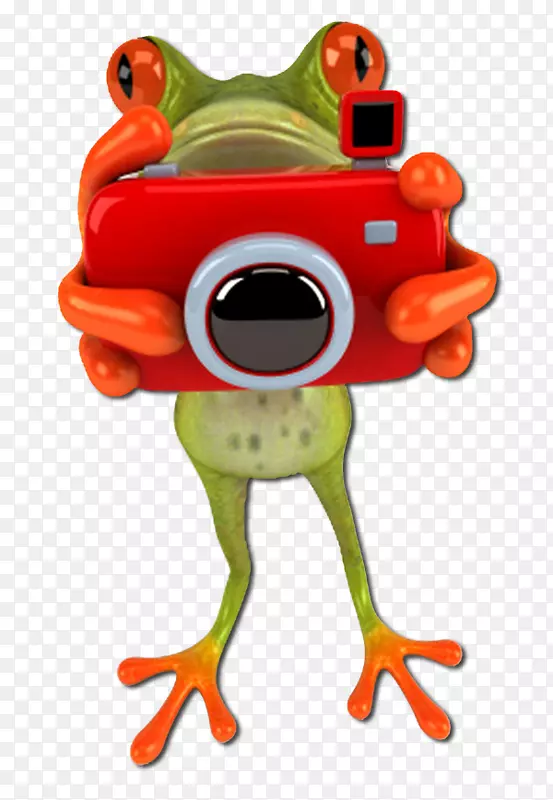 InFocus摄影保险青蛙-青蛙
