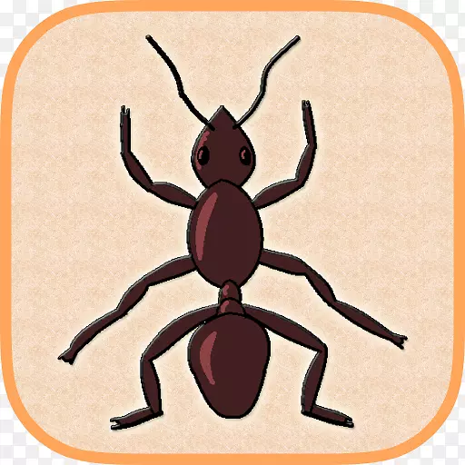 昆虫蚂蚁最酷最好玩的游戏传粉者害虫剪贴画