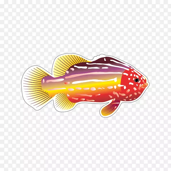 鱼画夹艺术-鱼