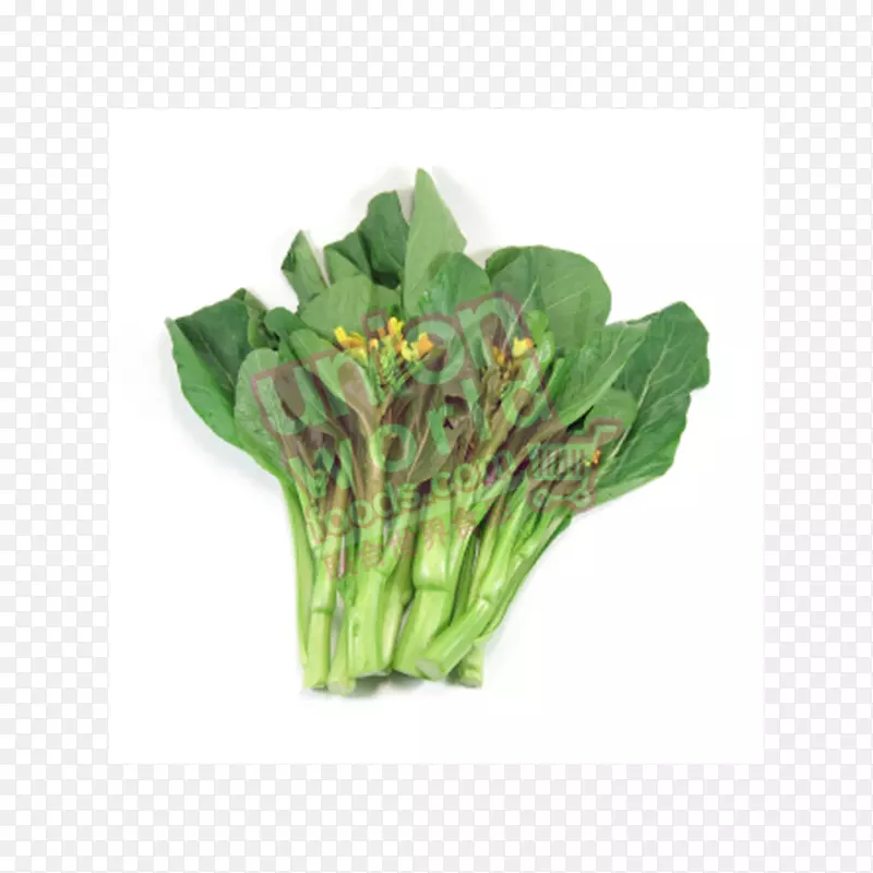 蔡素生菜亚洲菜叶菜蔬菜