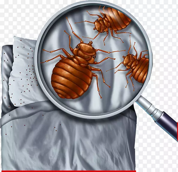 蚊虫防治技术防虫床虫咬床