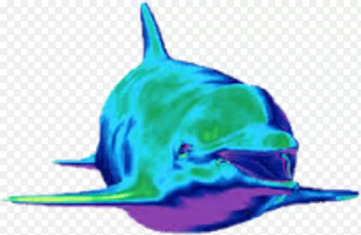 动画海豚图片Android-动画