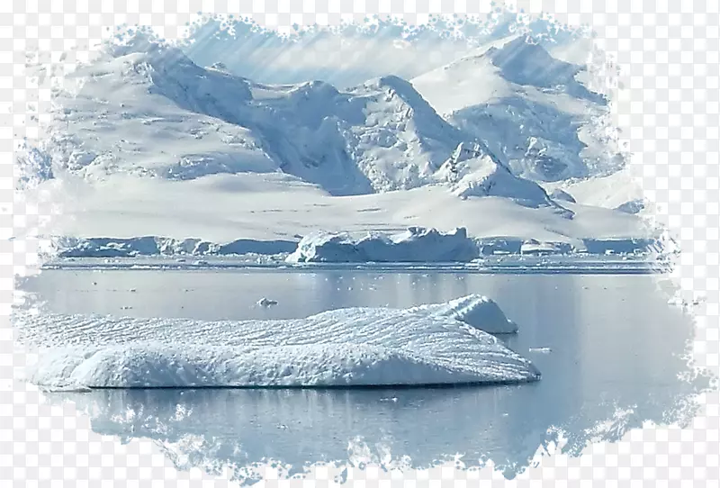 南极海岸风景进入我的凡人：艾莉森·格雷赫斯特的诗落在某处-人