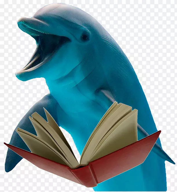 海豚数据库信息透明度和半透明材料.海豚