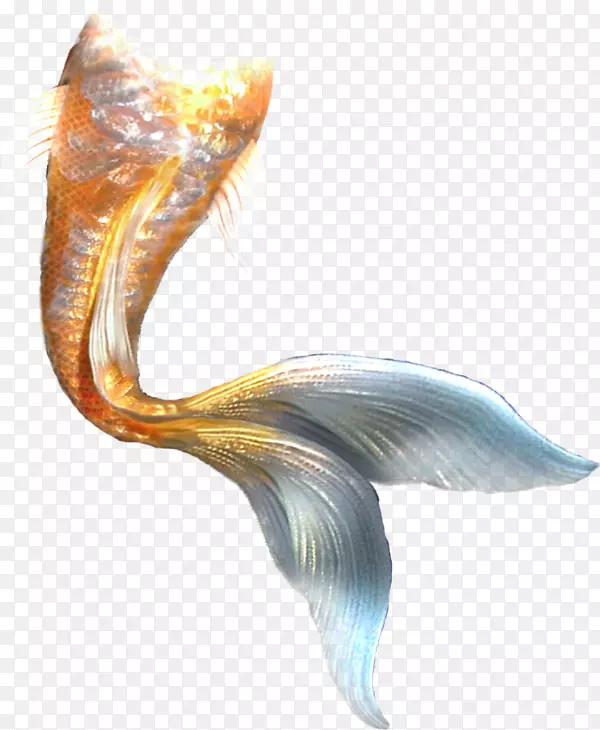 美人鱼阿里尔尾-美人鱼