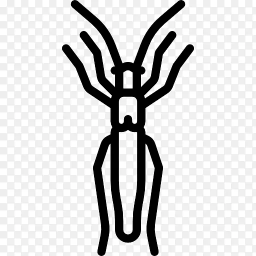 甲虫动物剪贴画-甲虫