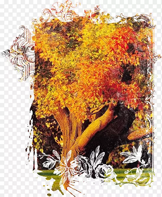 秋树草坪景观公司季节-秋天