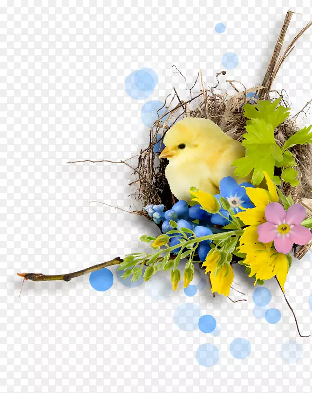 复活节鸟类剪贴画-复活节
