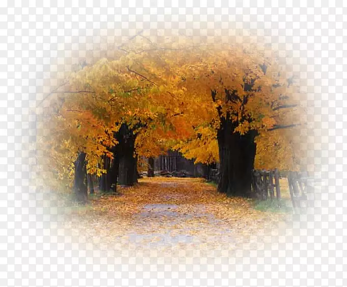 桌面壁纸秋季-秋季