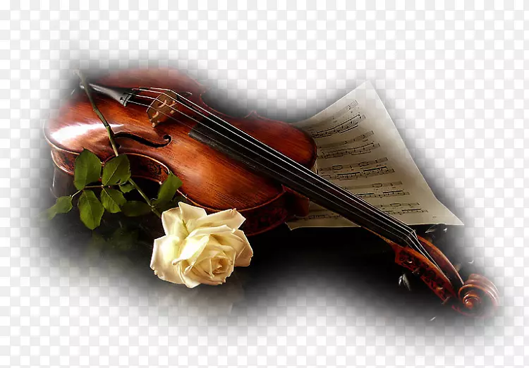 小提琴乐器小提琴桌面壁纸小提琴