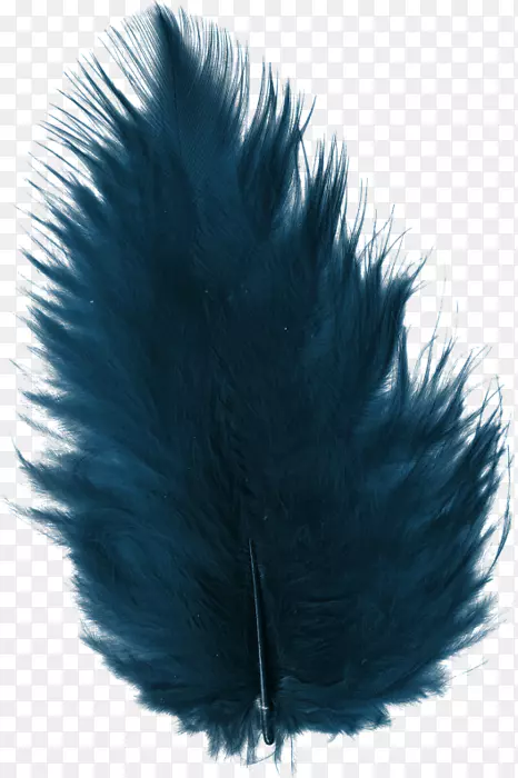 羽毛蓝色剪贴画-羽毛