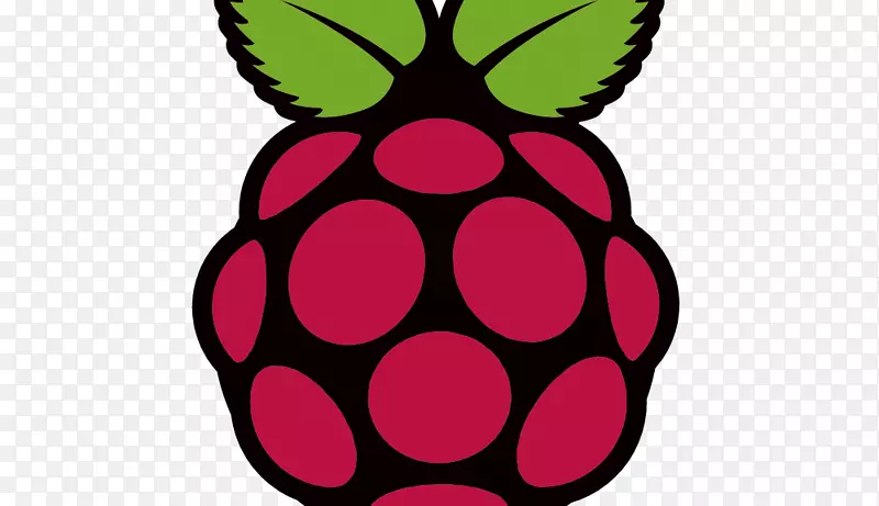 raspberry pi基础计算机安装