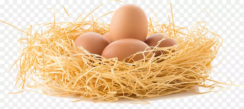 鸡蛋巢-鸡