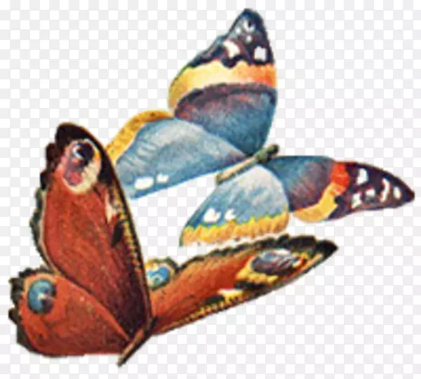 蝴蝶蛾回形针艺术-蝴蝶