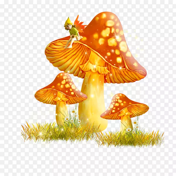 食用菌数字图像剪辑艺术-蘑菇