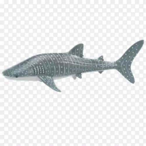 鲸鲨野生动物中心锤头鲨-鲨鱼