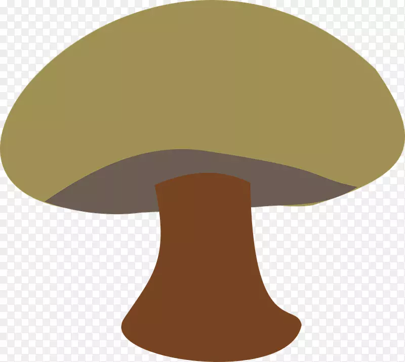 普通蘑菇菌类-蘑菇