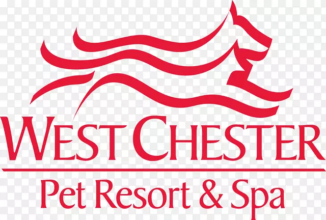 狗美容西切斯特宠物度假村和水疗美容院-狗酒店