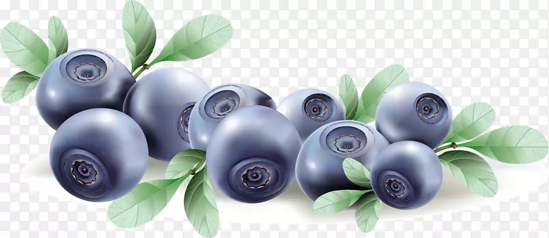 蓝莓松饼水果-蓝莓