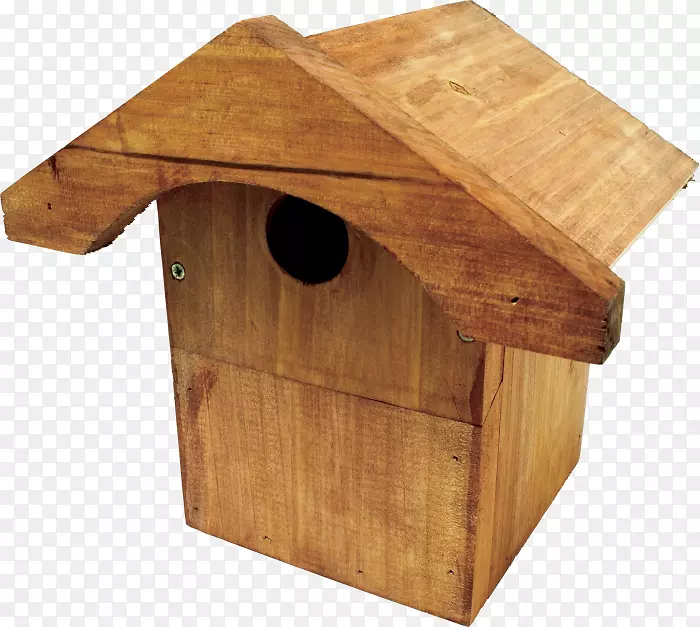 鸟巢盒鸟博客剪贴画-鸟