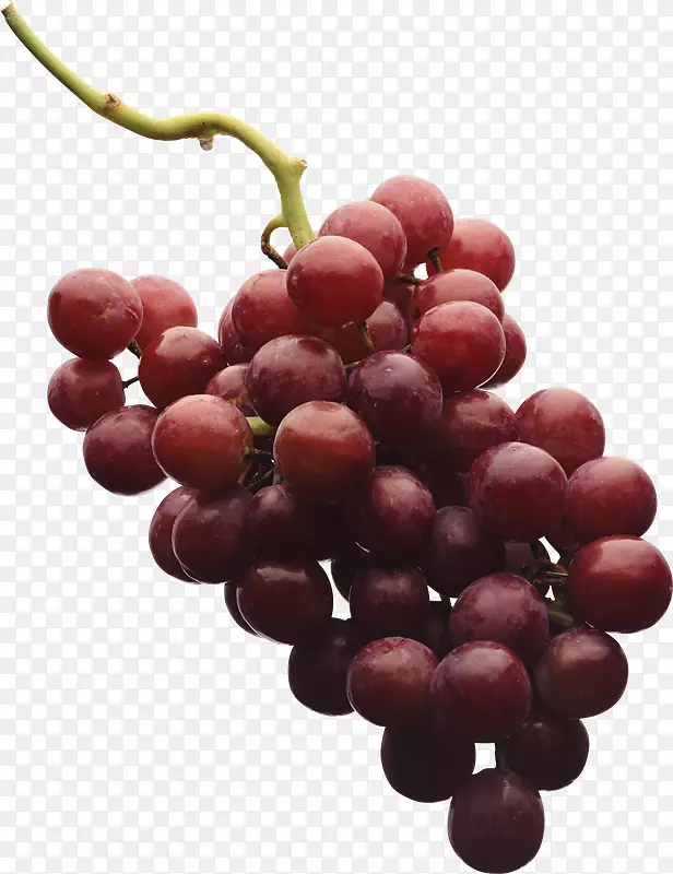 巨峰红葡萄酒葡萄籽提取物-葡萄酒