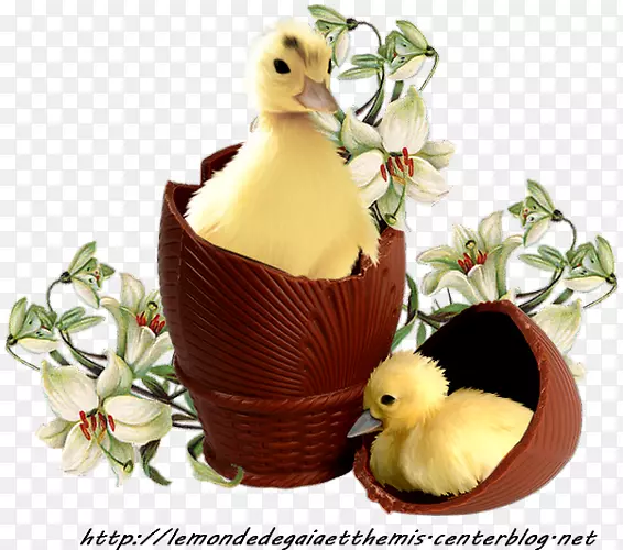 鸭子复活节兔子复活节彩蛋装饰-鸭子