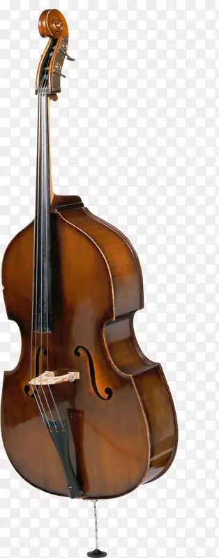 低音乐器小提琴乐器