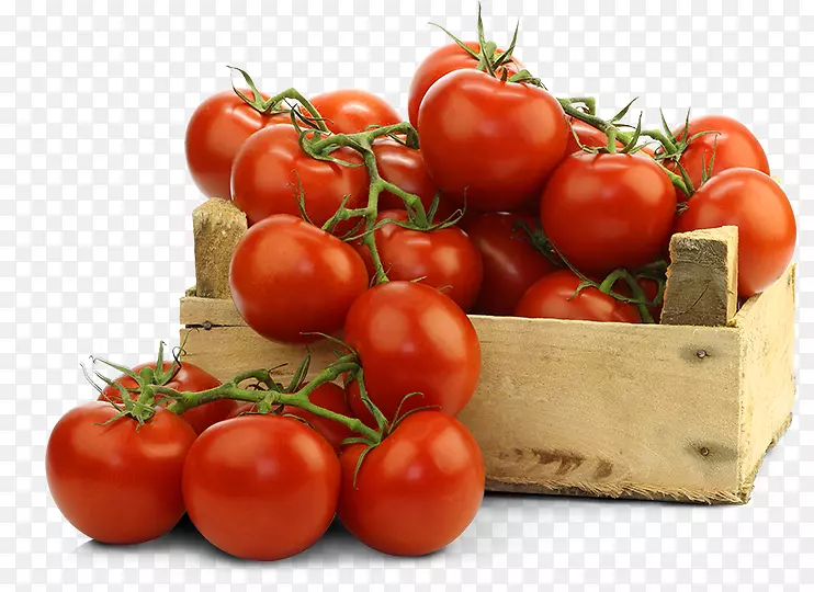 番茄有机食品肥料-番茄