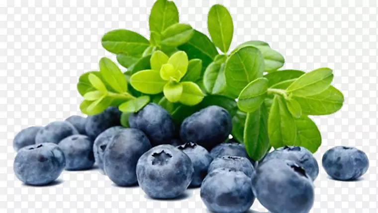 欧洲蓝莓营养水果蓝莓