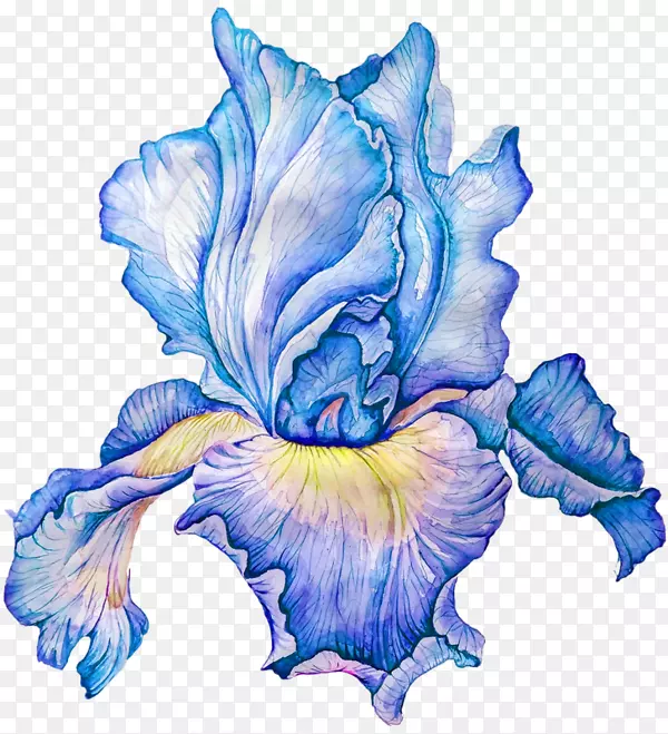 花水彩画剪贴画-花