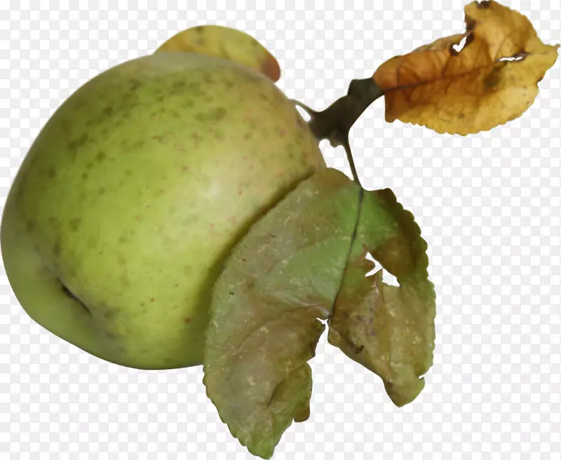苹果水果艺术摄影-苹果