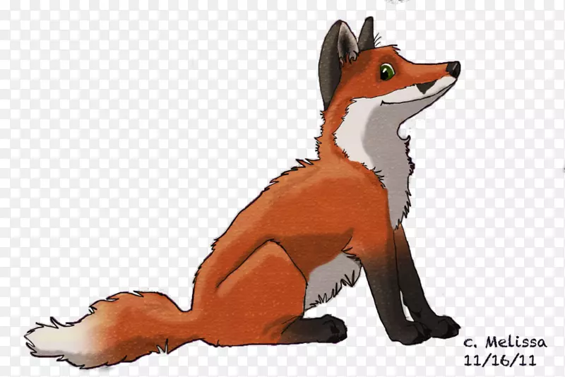红狐布兰福德的狐狸灰狼-狐狸