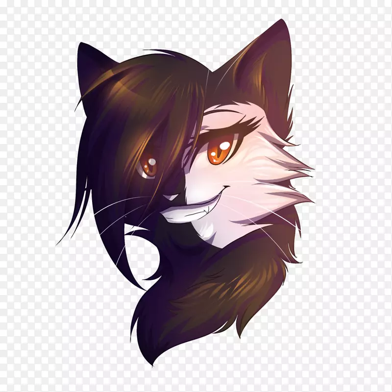 猫武士爪书-猫