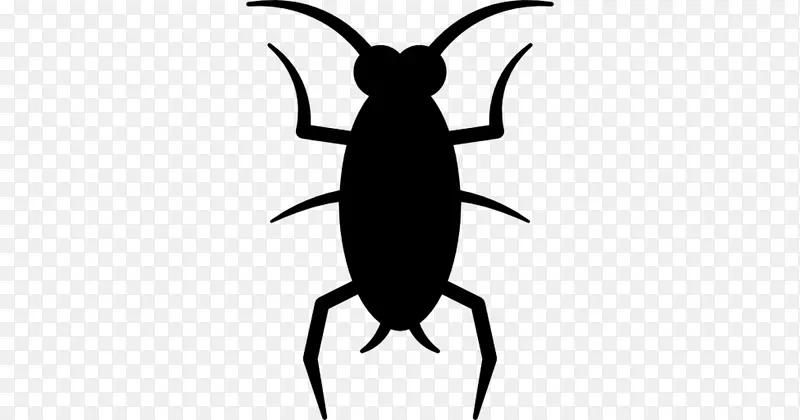 苍蝇蟑螂甲虫电脑图标剪辑艺术