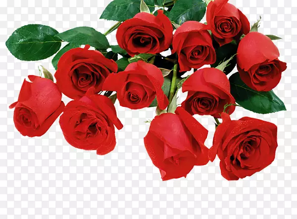 情人节桌面壁纸玫瑰-情人节