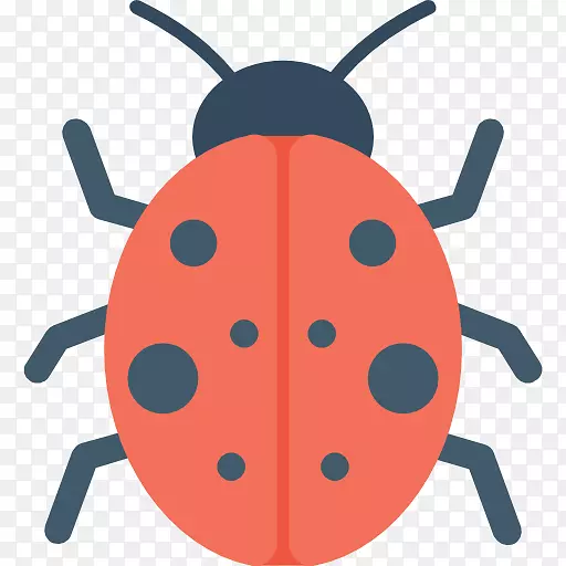 瓢虫电脑图标甲虫剪贴画甲虫