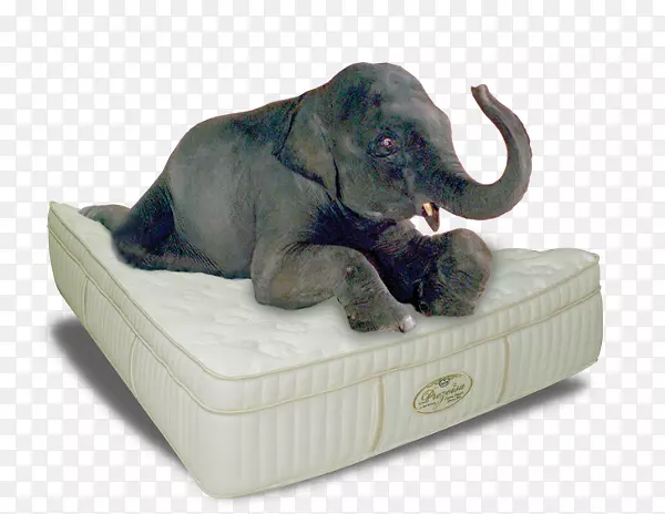 床垫卧室家具印度象床头垫