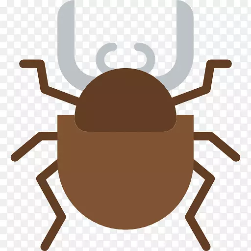 电脑图标封装后记剪辑艺术甲虫