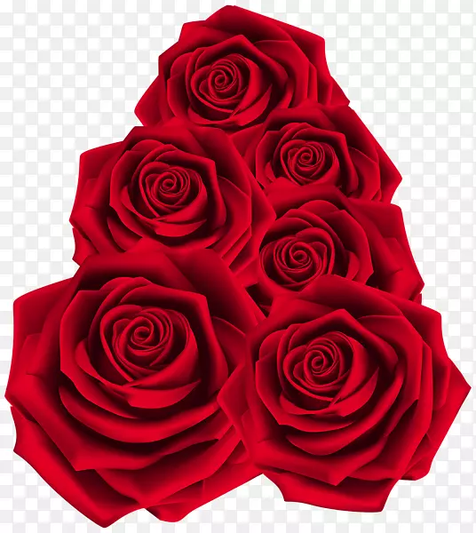 花园玫瑰光栅图形-玫瑰