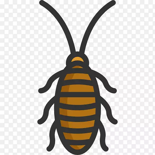 蟑螂昆虫，蜜蜂，电脑图标，害虫控制-蟑螂