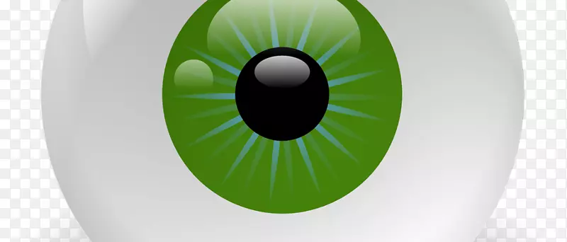 虹膜眼技术.眼睛