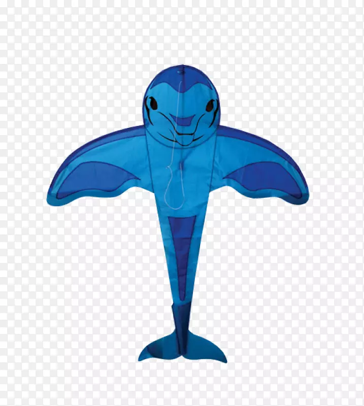 风筝海豚帆海豚