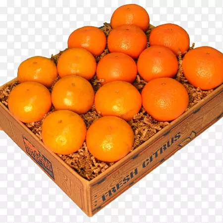 克莱门汀橘子棕榈滩树林橘子