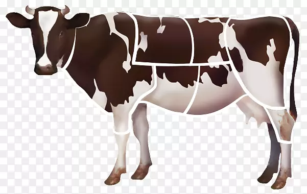 荷斯坦牛、奶牛、家畜、农场剪贴画