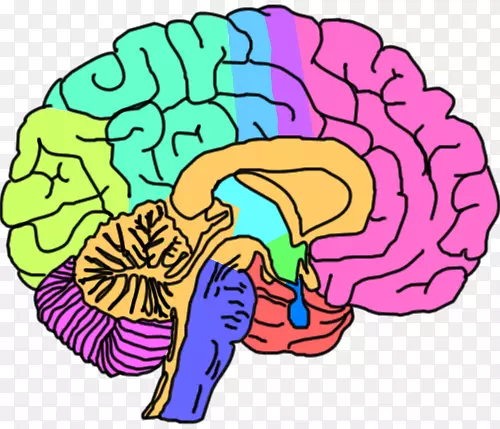大脑心理健康精神障碍剪辑艺术-大脑