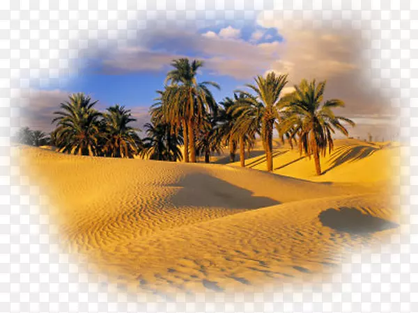 撒哈拉绿洲沙漠景观