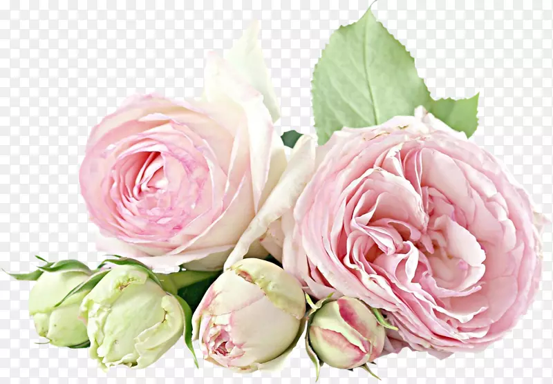 花束玫瑰生日出生花-花
