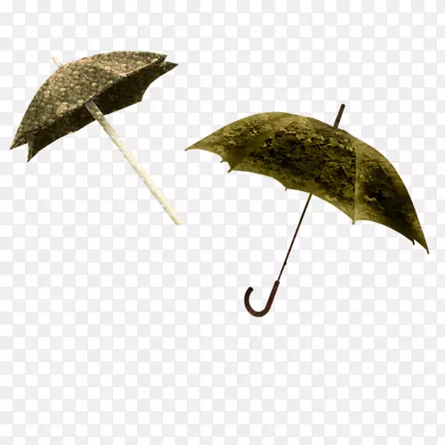 雨衣夹艺术伞