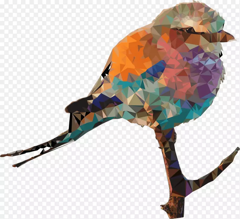 印地安-欧洲滚轮鸟-紫丁香-扣辊画-鸟