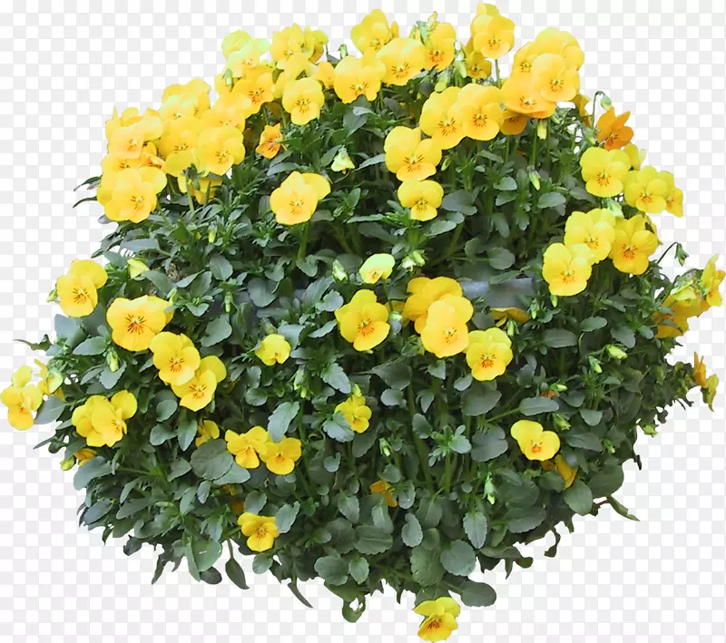 床头柜花盆媒体描述符文件表